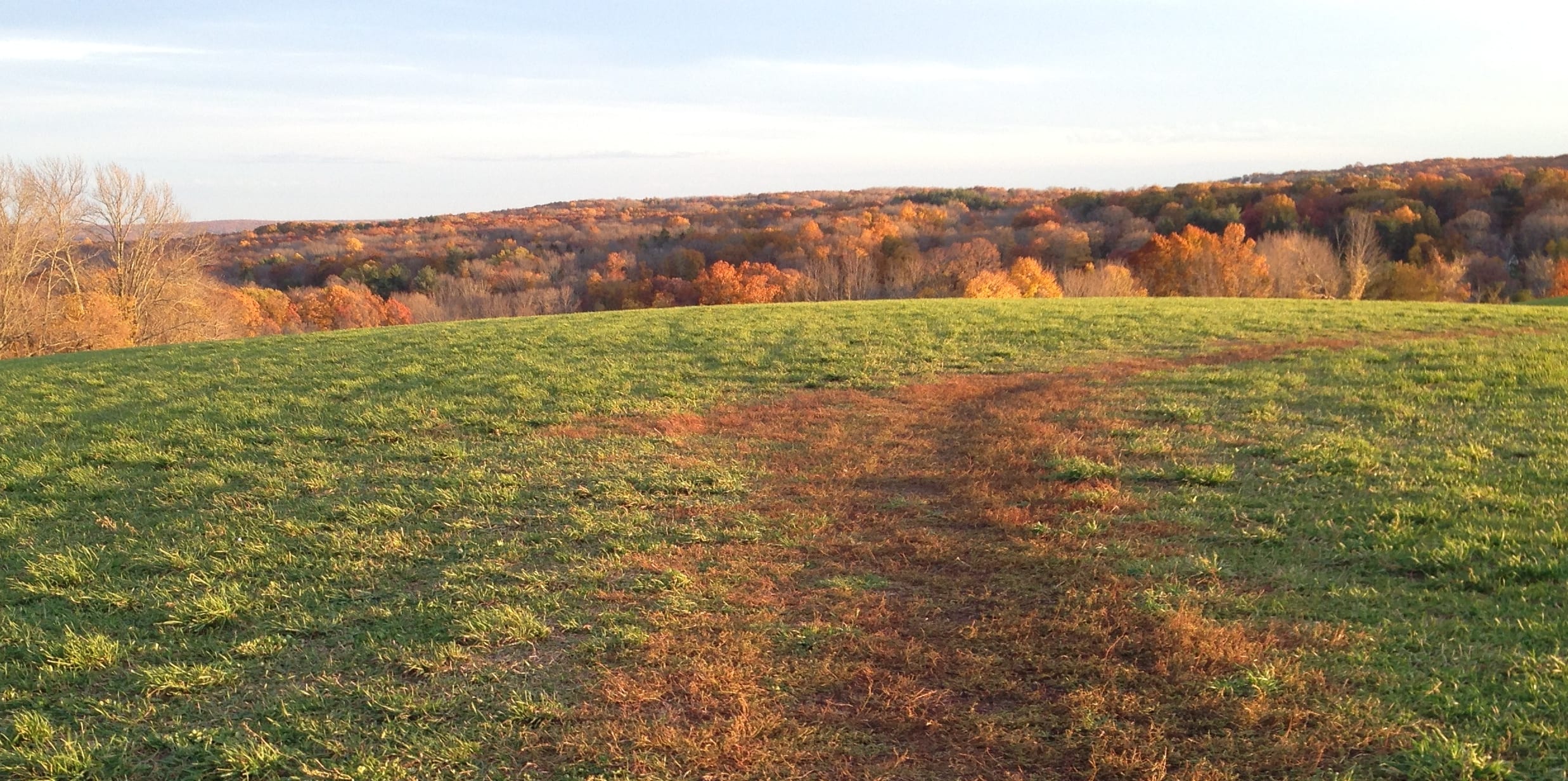 Bucolic Horse Barn Hill overlooks the UConn campus, where a panel on Writing and Publishing Kids Lit will take place on Friday, November 13th, 2015