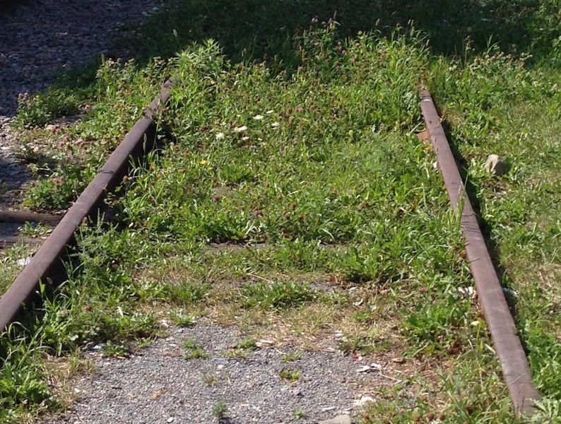 Train tracks lead into grass.